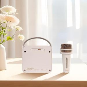 가정용 오디오 스피커 녹음 기계 블루투스 야유회 모임 마이크 세트