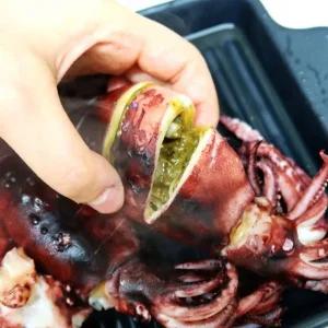 내장까지 고소한 통찜용 선동 오징어 600g(5~8미)