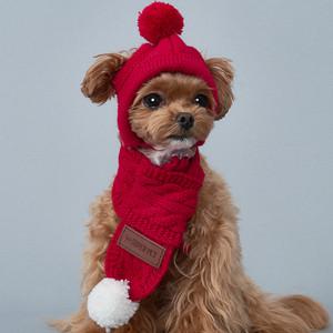 도그아이 강아지 니트방울 모자 목도리세트 (DG022)