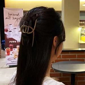 대왕집게핀 올림머리 연브라운 반묶음 무광-WFFNZ6U