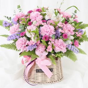 당일 꽃배달 사랑의 인사 카네이션 꽃바구니 생화 배달 A2042