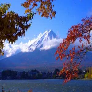 시즈오카4일#오전VS오후출발선택#1일자유/옵션투어#동경2연박#하코네#특식2회