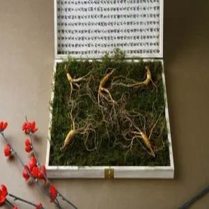 강원 진삼애 산양삼 9-10년근 5뿌리