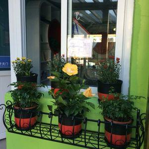 창문 화분걸이 대형 표준형 가드닝 내폭 수납 걸이 다육이