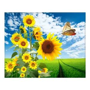 DIY 보석십자수 나비와 해바라기 40x50cm 캔버스형