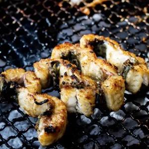 고창 풍천 자포니카 민물 장어 구이 손질 캠핑 밀키트 집에서 택배 포장 배달 양념