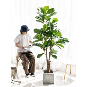 떡갈나무 빈티지소품 진잎 사각 인테리어 지중해상 장식 2미금엽용 인조 인테리어조화