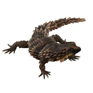 반다이도마뱀 생물대도감 크레스티드 모형 피규어 게코 피규어