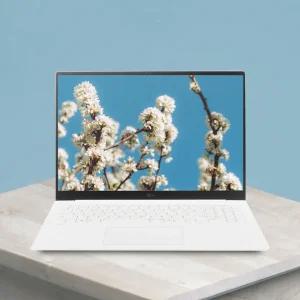 LG 그램17 인텔 U5 DDR5 16GB 2TB Win11Home 17인치 노트북 17Z90SP-GAFWK HMC