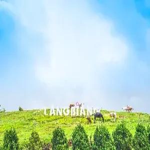 [출발확정] 나트랑/달랏 5일 #구름위의 힐링여행 #나트랑1박 오션뷰 #랑비엔고원SUV #플라워하이랜드 #다딴라폭포 #달랏야시장 #1일1간식 #달랏핵심관광