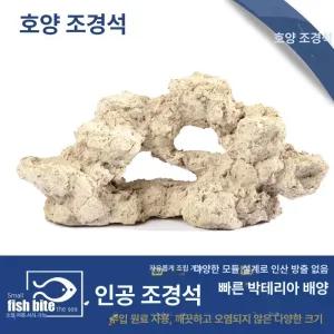 아쿠아리움 관상용새우 성형락 해수어 데드락 관상용