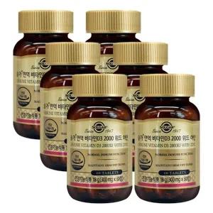 솔가 면역 비타민D3 2000 위드 아연 300mgX60정X6개