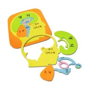 [셀러허브]뇌의 구조에 대한 이해 뇌퍼즐 6개 A00236 학습준비물 (S31261411)