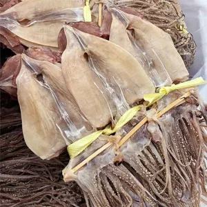 물맛남 국내산 영덕 마른오징어 특 20마리 1.7kg내외