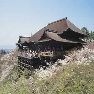 [인기여행상품/최저가찬스] 오사카/교토/고베/오츠 4일 #지금이기회 #초특가 #시가현의 비경 #신비로운절 # 우키미도 #액자정원 #금빛찬란한 #금각사