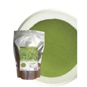 럭7 교토우지말차 일본 프리미엄 말차라떼 말차 가루