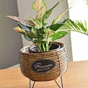 화분 바구니 철제 받침대 스탠드 거치대 받침 진열대