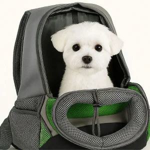 [골드스마일]반려동물 메쉬 백팩 이동용 펫배낭 소형견고양이배낭 투명창펫백