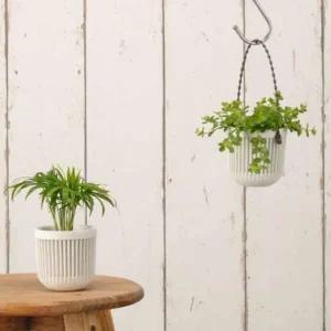 [골드스마일]미니 벽걸이 식물 화분 행잉 인테리어 소품 작은