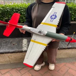 전투기빈 75CM 제어 전투기브러시리 24G 무선RC 모터F 스 비행기 항공기g 감광성 초대형 원격