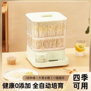 콩나물기계 전자동 가정용 녹두콩 발아 스마트 대용량 발아기 콩나물발아기 소형 자체제작