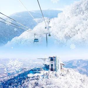 [평창] 모나용평 발왕산 관광케이블카(12/6~3/2)