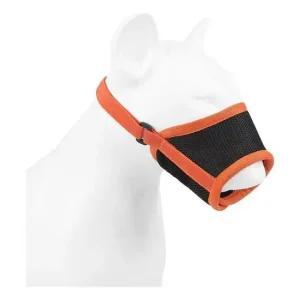 강아지 입마개 마스크 짖음방지 주황