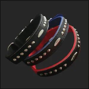 강아지 목줄 시골 개줄 반려 애견 별 개목걸이 25mm