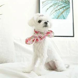 복숭아 트로피칼 강아지 애견 머플러 스카프 (S) X2개