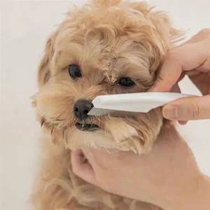 참빗 애견빗 추천 눈꼽빗 눈물빗(소) 강아지 고양이