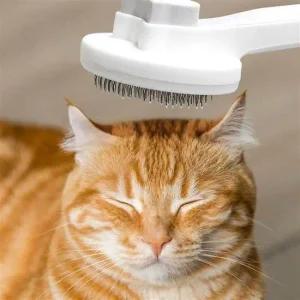 애완 원터치 털 브러시 펫 강아지 빗  단모종