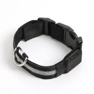 강아지 목줄 S 애견 밤산책  LED