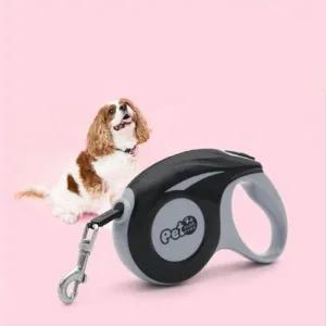 반려동물  애견 목줄 강아지 자동 리드줄 5M