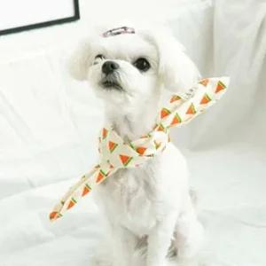 강아지 스카프 S 2색 목도리