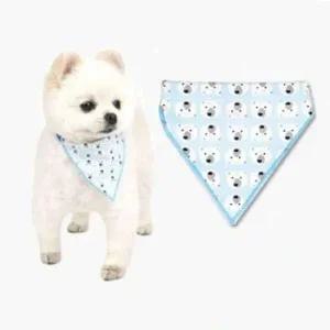 강아지 스카프 케이프 베어