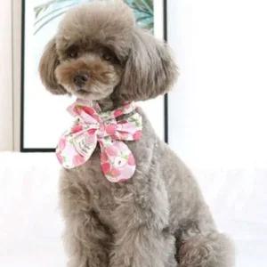 강아지 스카프 L 3색 목도리