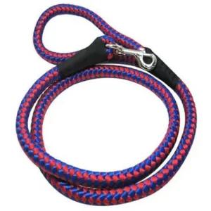 강아지 칼라 통줄 16mm 1P 반려견 산책줄 리드줄 리쉬