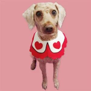 대 B 애견스카프 반려동물 턱받침