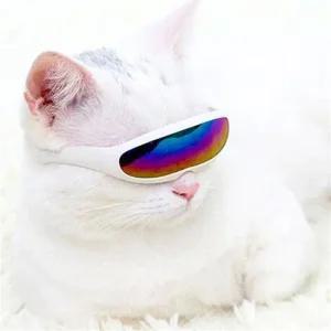 강아지 미래 썬글라스 블루 1P  반려견 소품