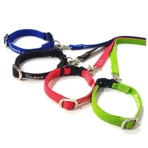 애견 목줄 세트 10mm 1P 강아지 산책줄 외출 리드줄