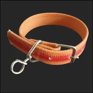 대형견 애견 개줄 소 목줄  목걸이 30mm