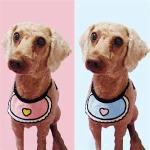 강아지케이프 애견  반려견 턱받이 귀여운 대형