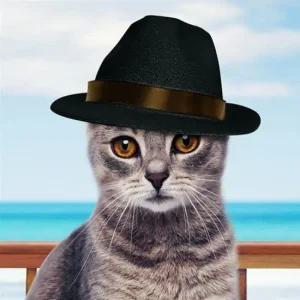 개모자 해피파티 펫 모자 (중절모) 강아지 고양이 애견용품