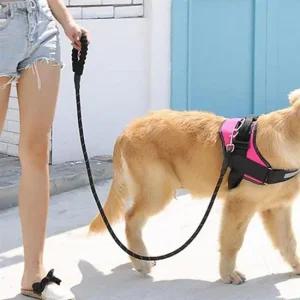 대형견목줄 PET 대형견 리드줄 강아지 애견 산책줄 목줄 2m