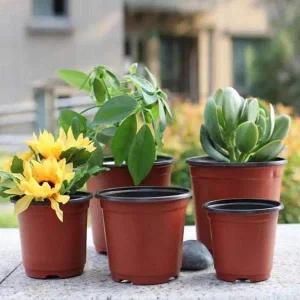 [콩심팥심]15.5cm 지름 이색플랜터 이색모종화분 식물포트 다육이화분