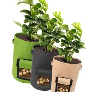 [콩심팥심]부직포 화분 블루베리 뿌리발육 관찰 텃밭 재배 용기