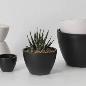 마이플랜트 모노볼 화분 플라스틱 미니 다육 원형 화분 인테리어 가드닝 소품
