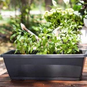 화초 재배 화분 받침대 텃밭 상자 상추 재배용