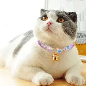 고양이 방울 목걸이