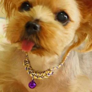 문펫 강아지 매듭 목걸이 방울 소 15개입 1판